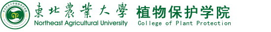 15vip太阳城集团